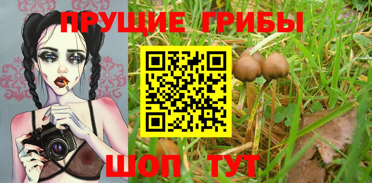 Выборг  Cocaine  МЕФ   Вход с VPN  ГАШИШ  Гашиш  Бошки Шишки  Каннабис 