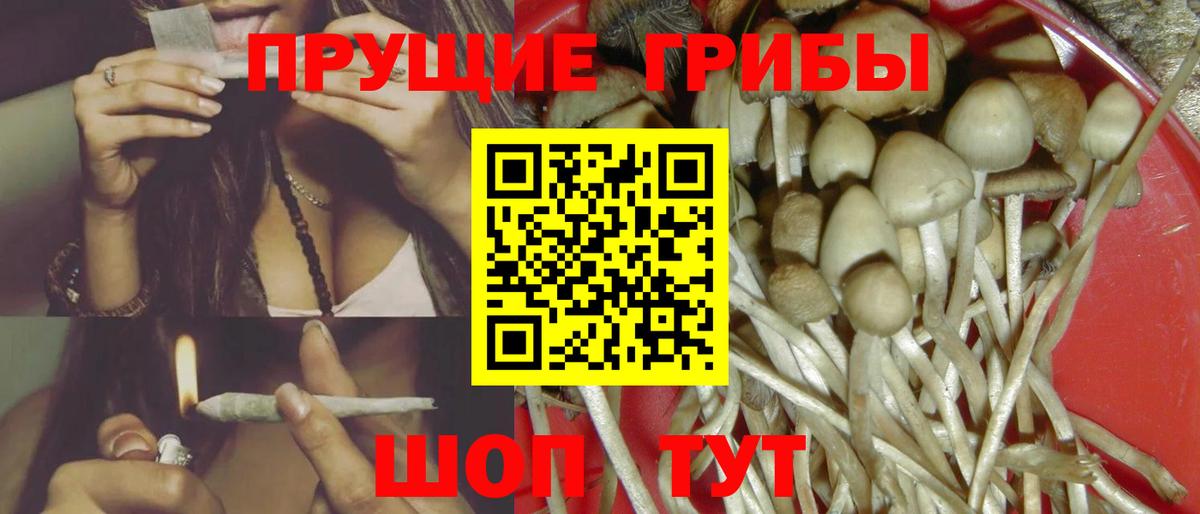 Галлюциногенные грибы прущие грибы Выборг